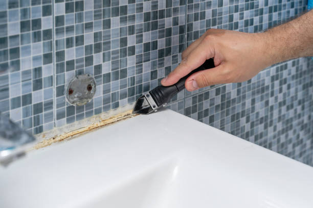 Best Professional Mold Removal  in Spring Grove, PA