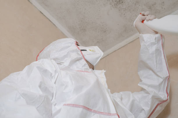 Mold Removal and Inspection in Spring Grove, PA